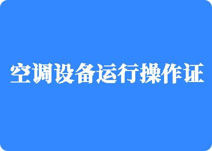 哦～恩…肏的舒服插逼视频制冷工证